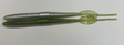 Case Pintail Worm 7-1/2"