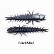 Black Shad