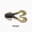 Bluegill