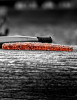 Case Lil Magic Stik