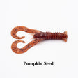 Pumpkin Seed