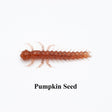 Pumpkin Seed