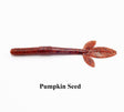 Pumpkin Seed