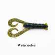 Watermelon Black Seed
