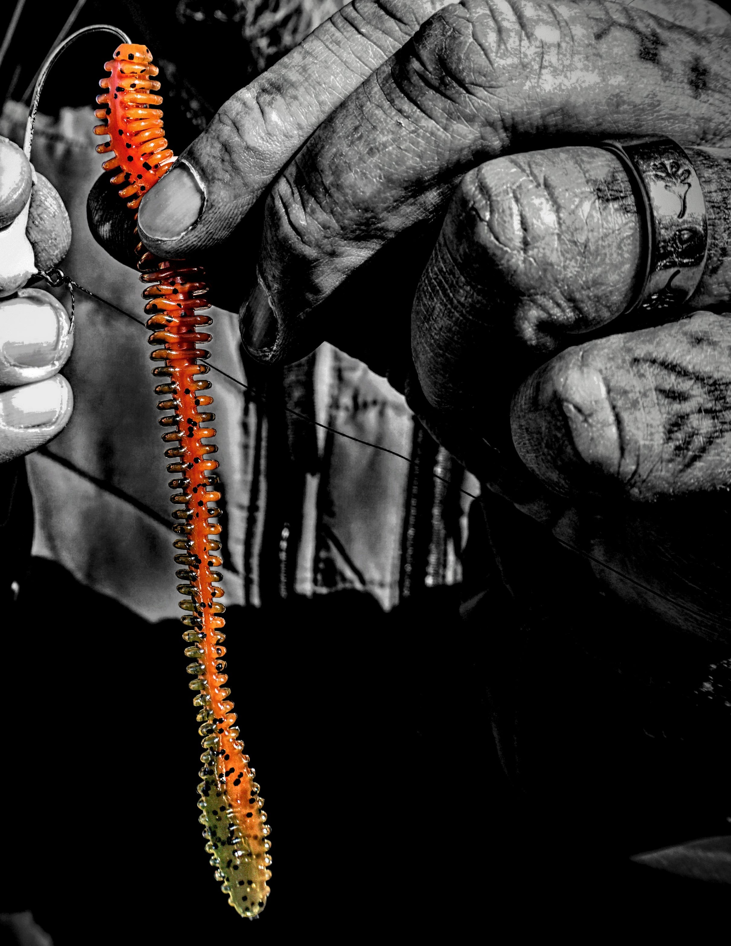 Zipper 6" Shakin' Worm